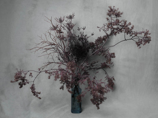 Cor Tenebrae Meum