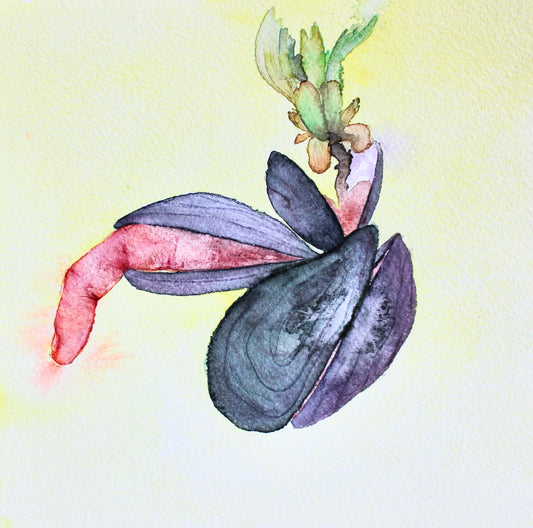 Watercolor illustration of clams with a yellow background