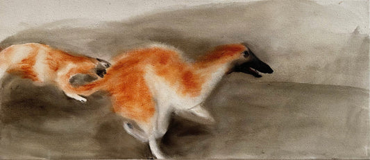 Winddogs