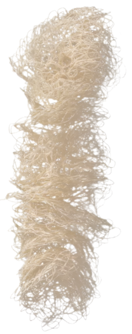 Beige tassel scarf on a white background