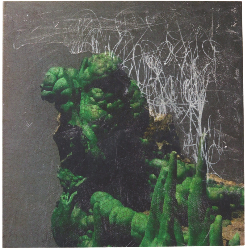Mr Green - image 1