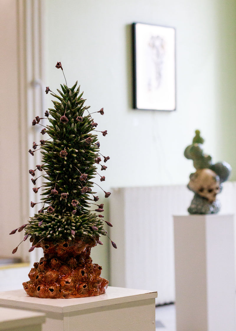 Extremofyytti - image 4