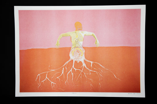 Tubércula - image 3