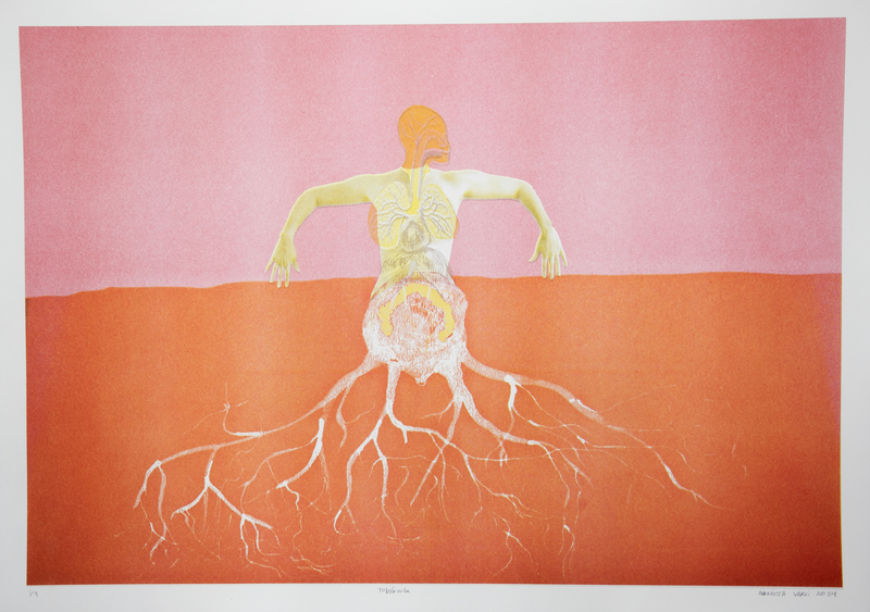 Tubércula - image 1