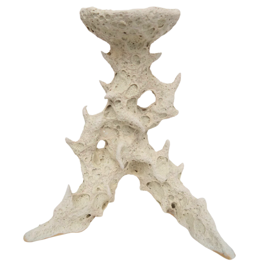 Bone candleholder