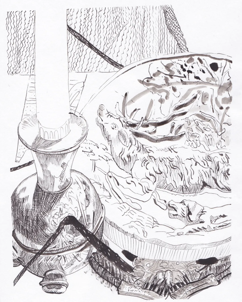 Even spiders get scared - image 1