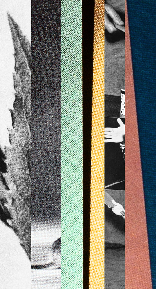 A day scattered here and there - image 3