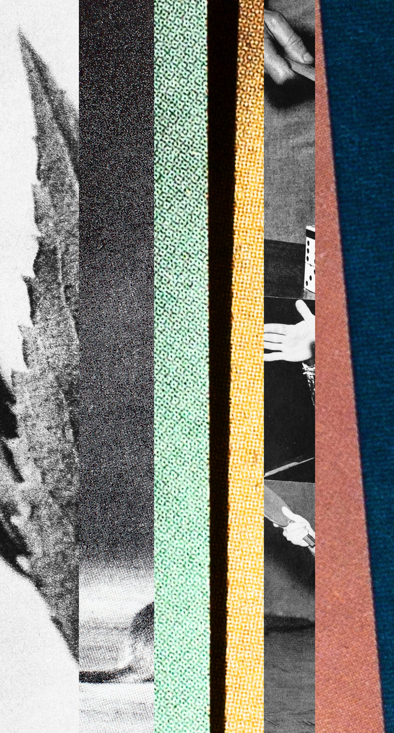 A day scattered here and there - image 3