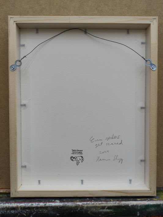 Even spiders get scared - image 3