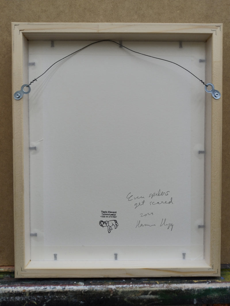 Even spiders get scared - image 3