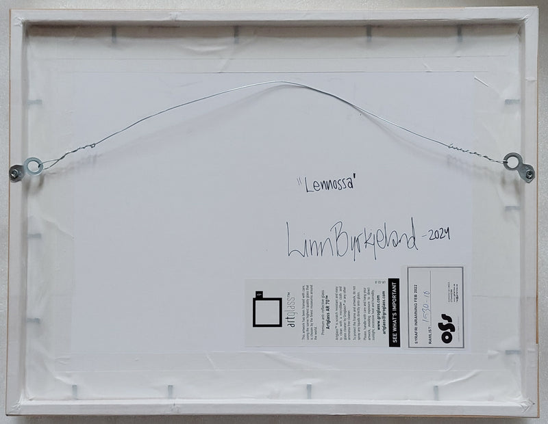Lennossa - image 3