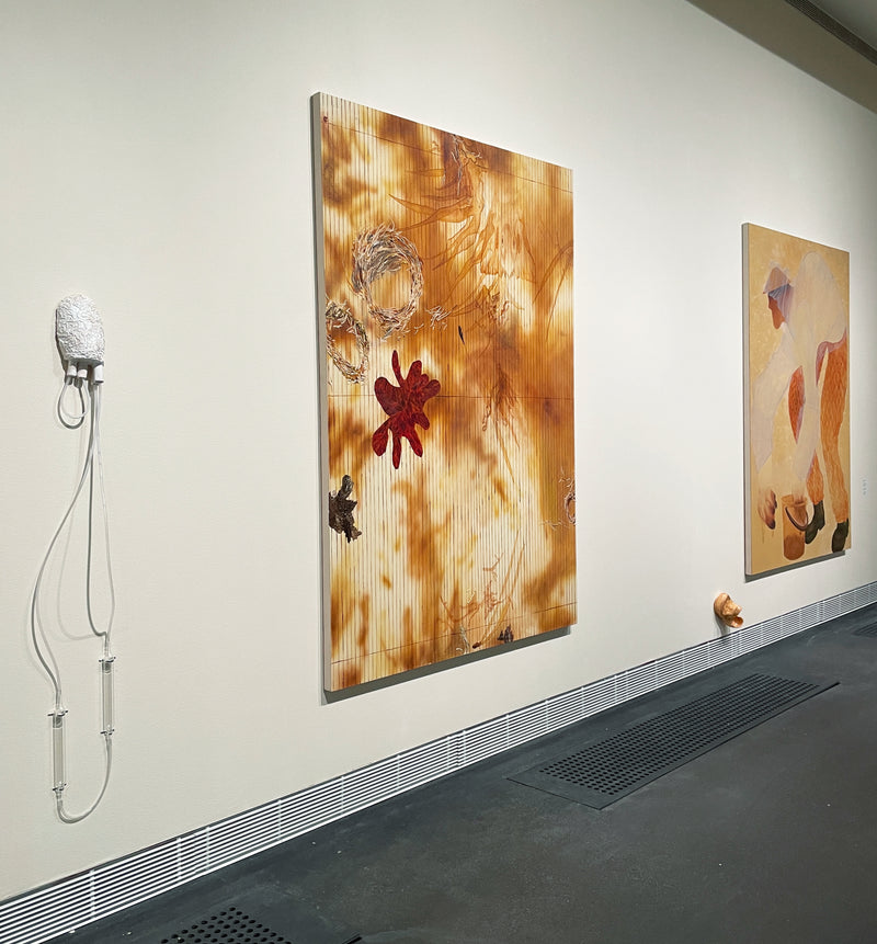 Pupal Cradle (Kotelokehdot) - image 2