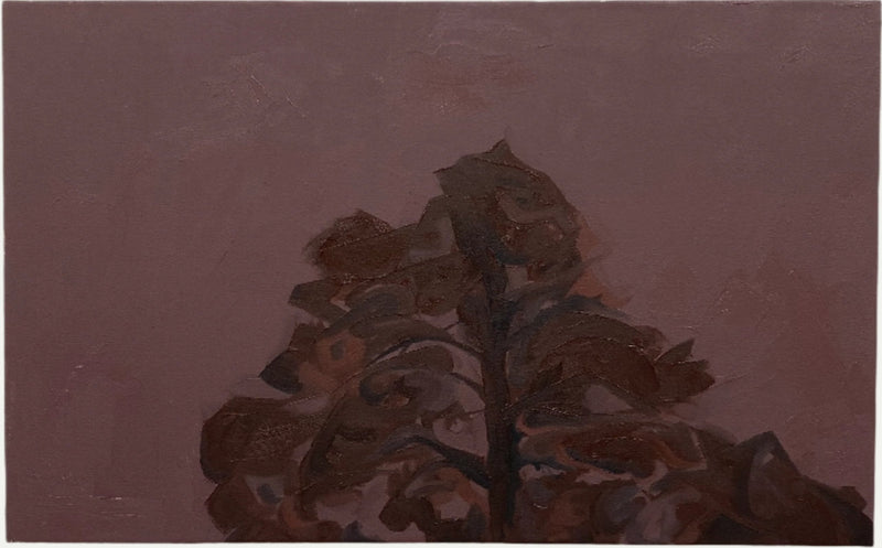 Männyn Juurella / At the foot of the pine tree - image 1