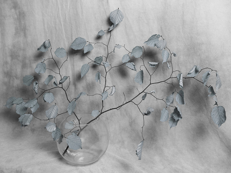 Album Mendacium - image 1