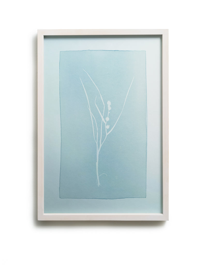 Nix's Hair, Sickle Grass, Slime Grass, Hag’s Children, Duckweed - image 3