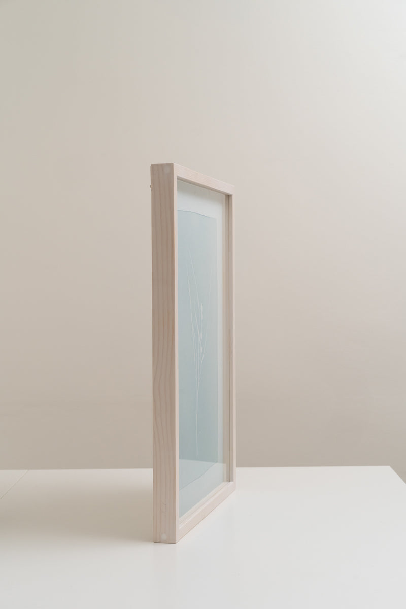 Nix's Hair, Sickle Grass, Slime Grass, Hag’s Children, Duckweed - image 2