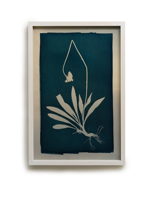 Poisonous Remedy / Myrkyllinen lääke - image 4