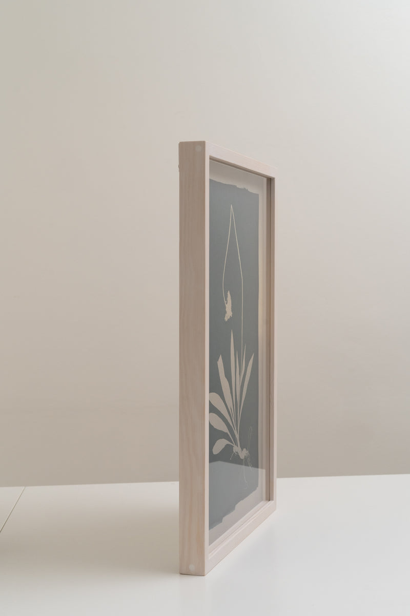 Poisonous Remedy / Myrkyllinen lääke - image 2