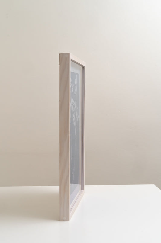 A Popular Cut Flower, Likely Responsible for the Decline of Entire Populations / Suosittu leikkokukkana, joka lienee hävittänyt kokonaisia populaatioita - image 4