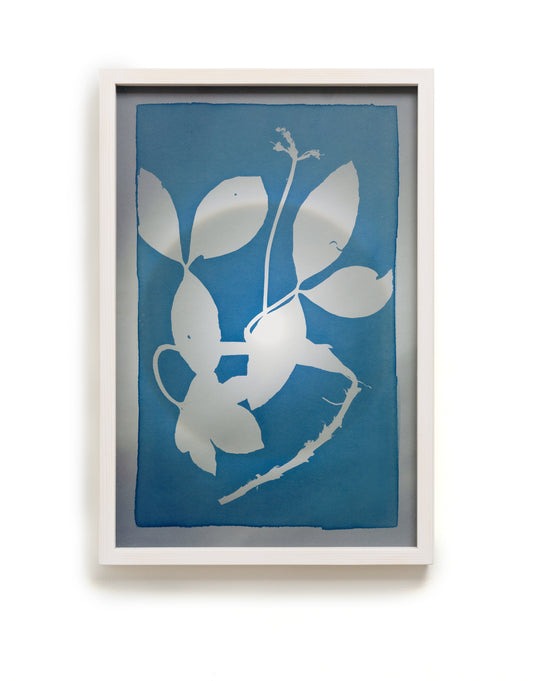 Refers to Difficult Terrain / Raatikko tarkoittaa yleisesti vaikeakulkuista maastoa - image 3