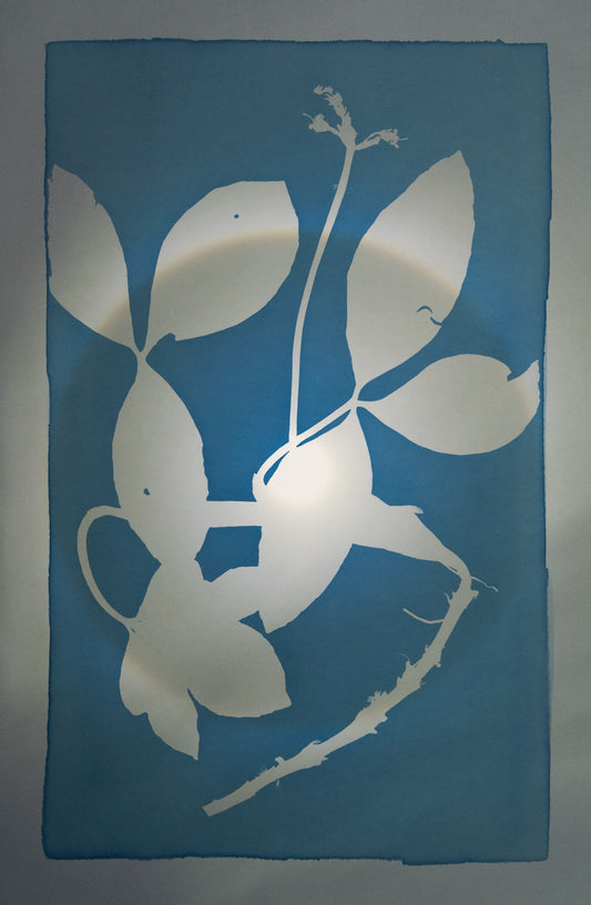 Refers to Difficult Terrain / Raatikko tarkoittaa yleisesti vaikeakulkuista maastoa - image 4