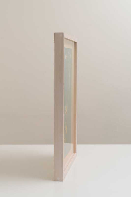 A textbook example of a plant / Oppikirjojen esimerkkikasvi - image 4