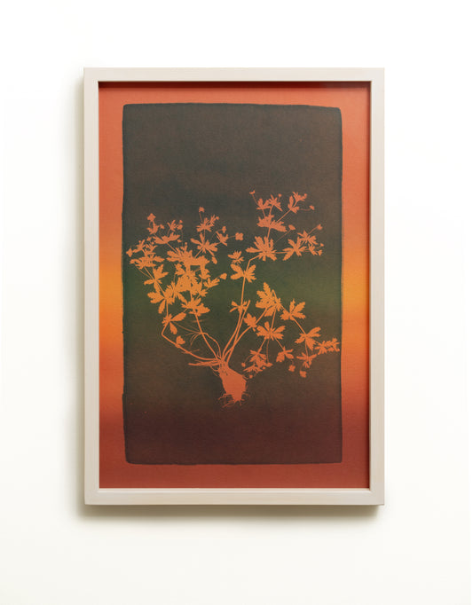 The blood-red liquid alludes to the power, potency, or ability of the remedy / Verenpunainen neste viittaa rohdoksen voimaan, mahtiin tai kykyyn - image 3