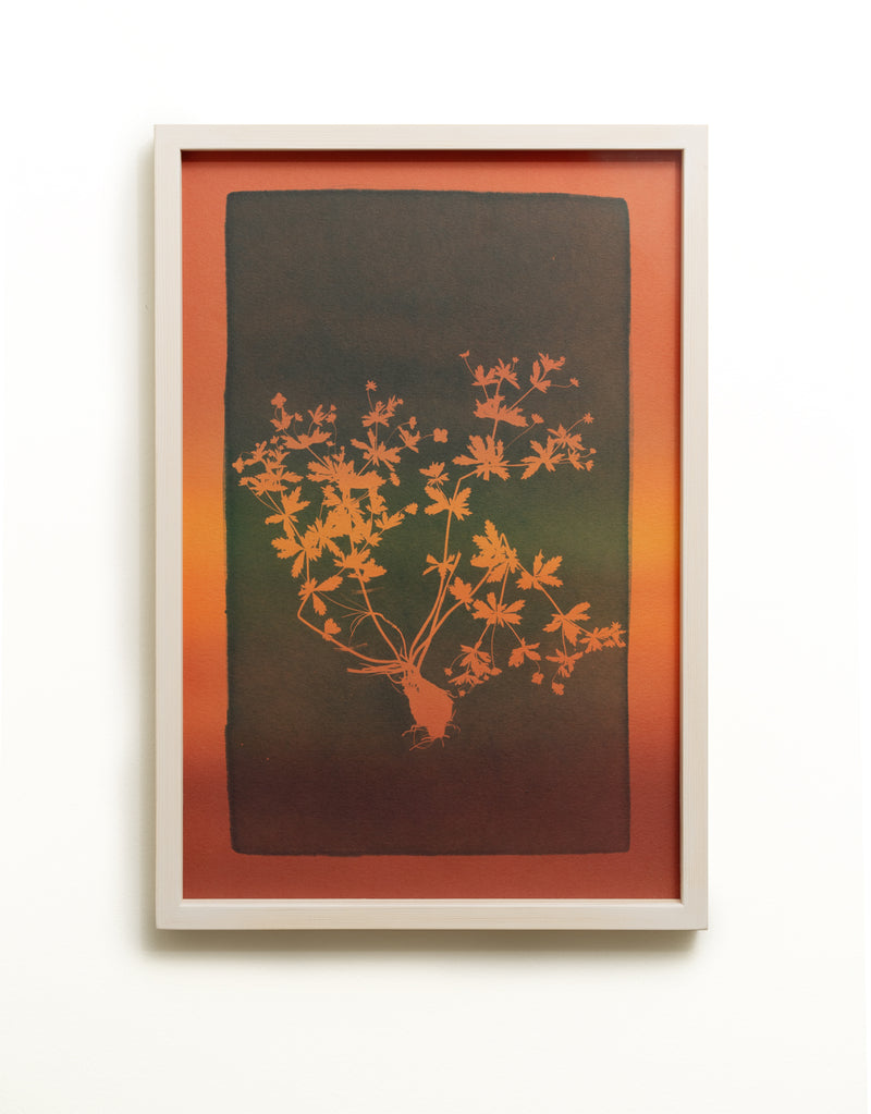 The blood-red liquid alludes to the power, potency, or ability of the remedy - image 3