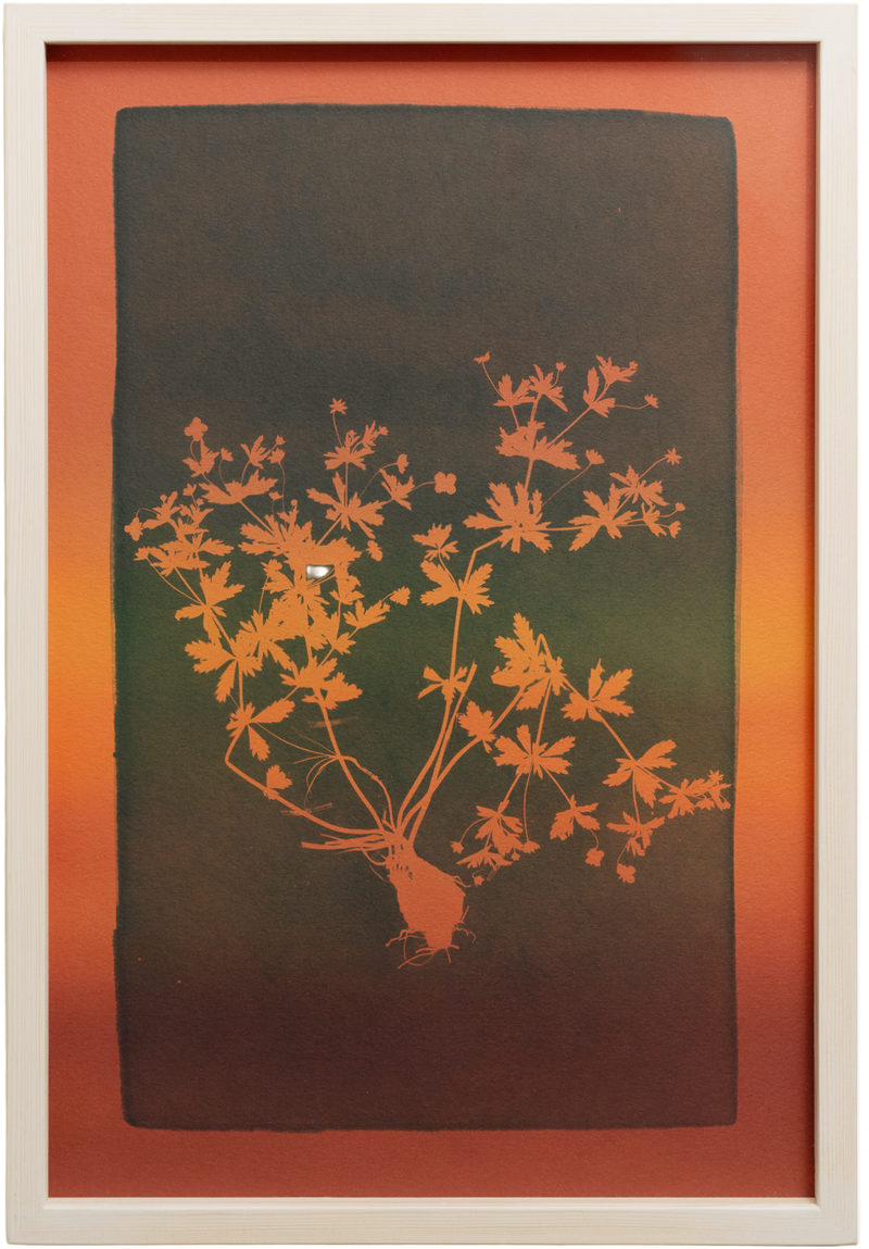 The blood-red liquid alludes to the power, potency, or ability of the remedy - image 1