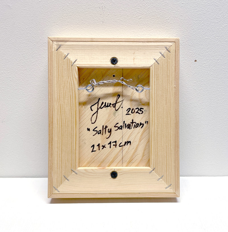 Salty Salvation - image 4