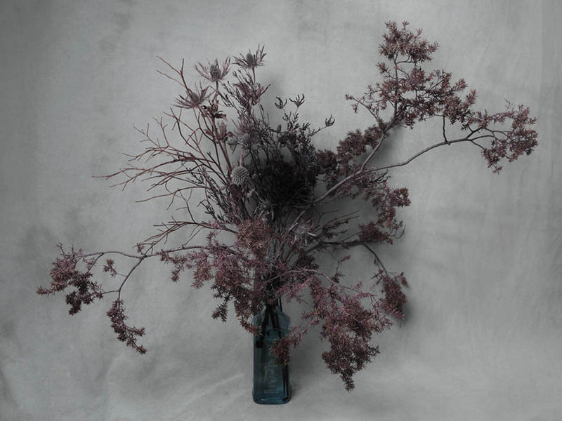 Cor Tenebrae Meum - image 1