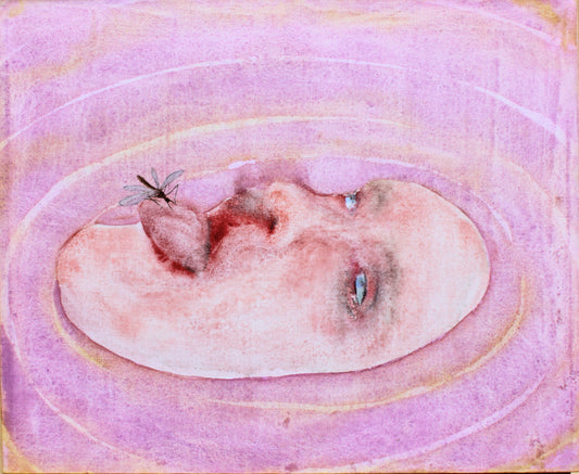 Artistic depiction of a face with a fly on a pink and yellow background