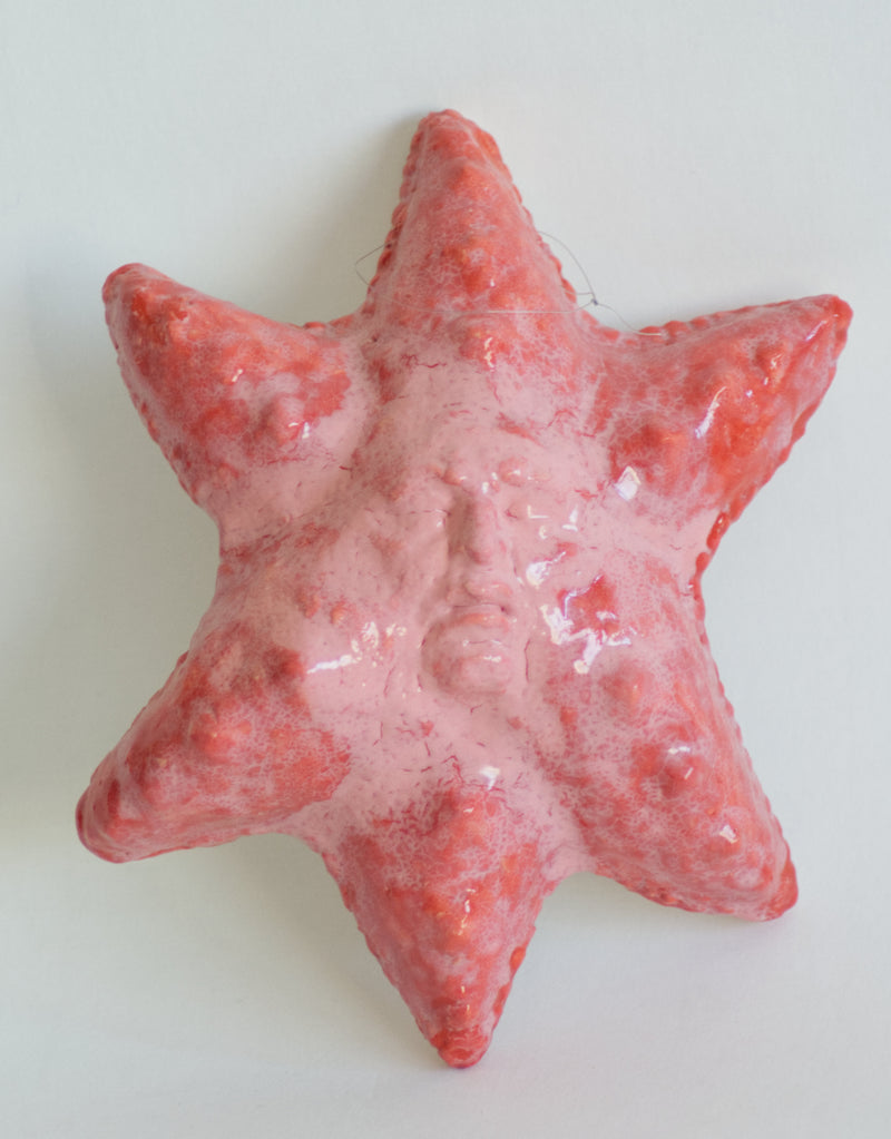 Starfish - image 2