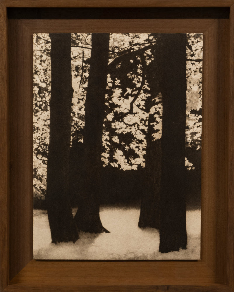 Elysium #01 - image 1