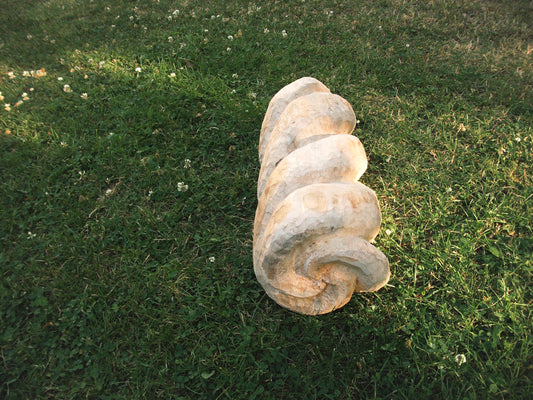 Cathexis of what is Almost - image 6