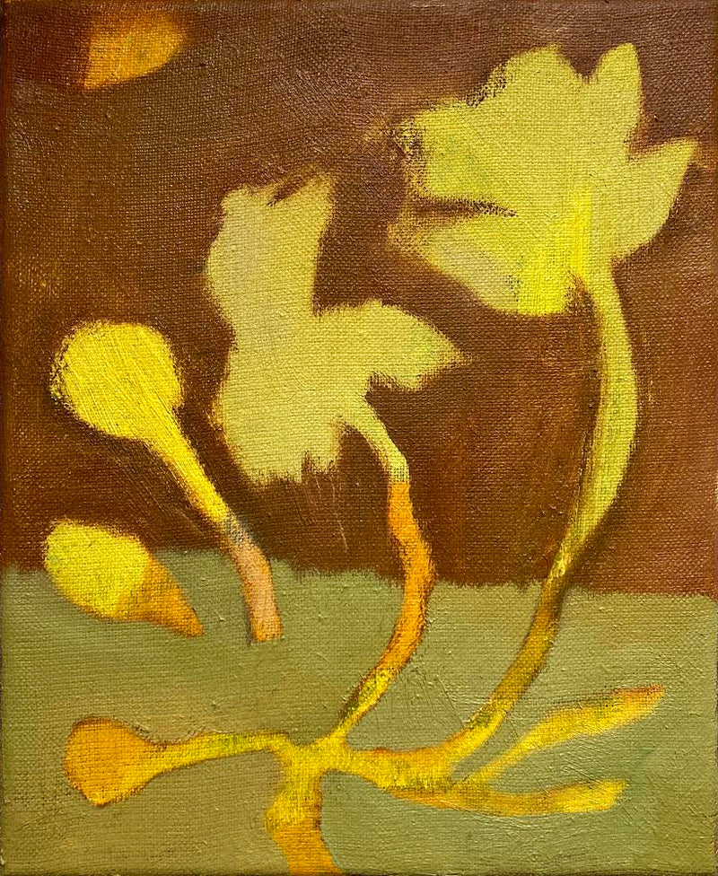 Keltaiset kukkaset - image 1