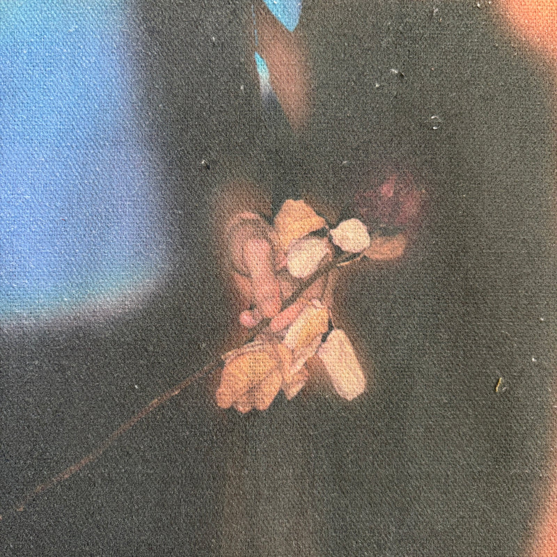 P1 - image 5