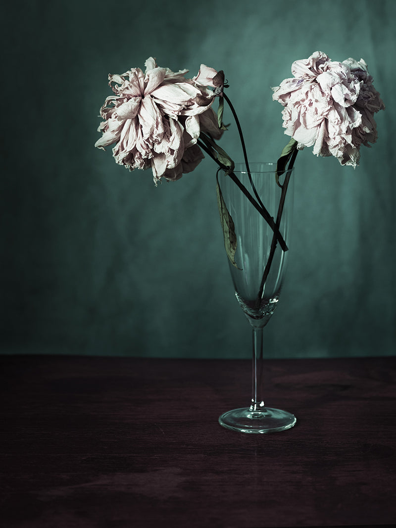 Flos Chartam - image 1