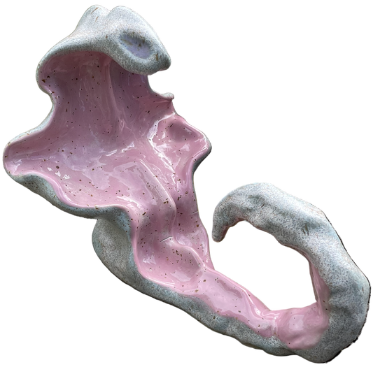 Descendant of the dusk