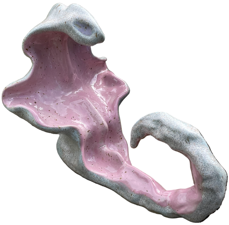 Descendant of the dusk - image 1