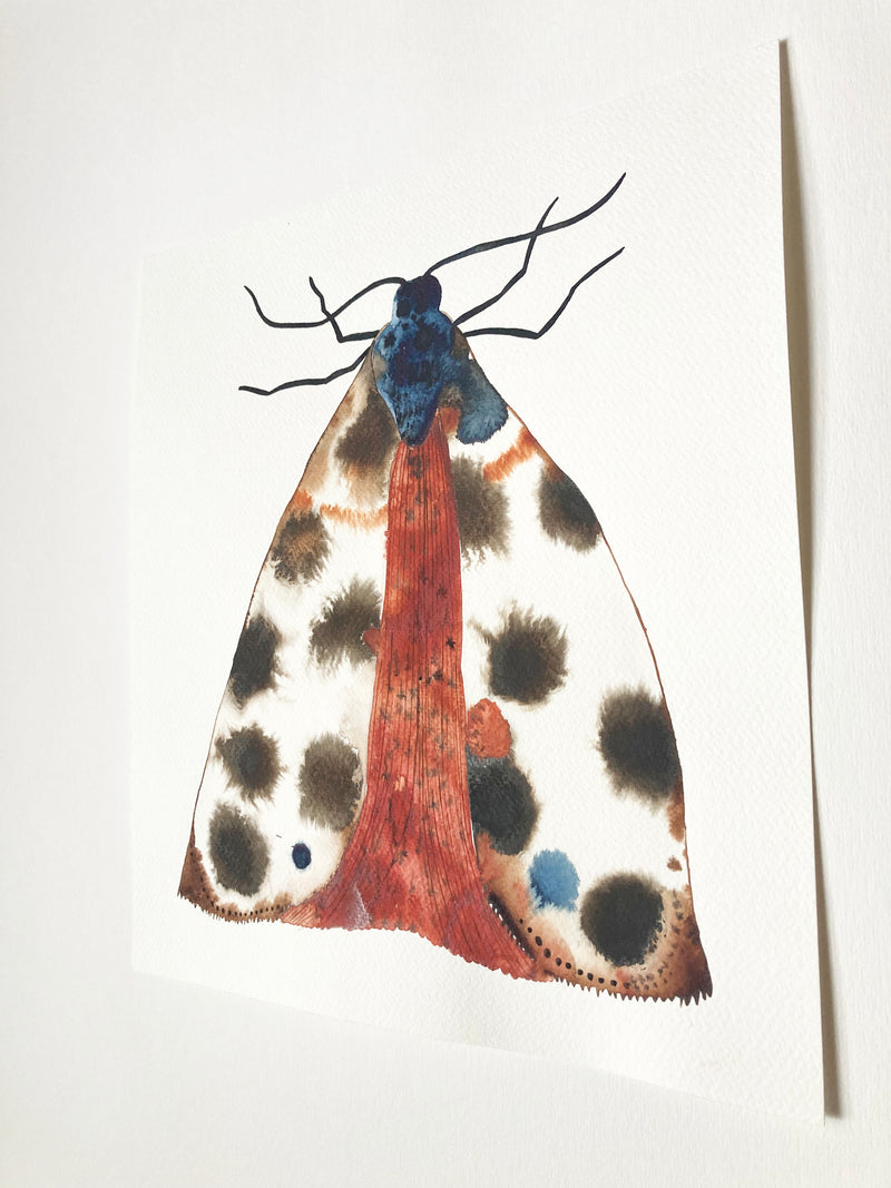 Moth - image 2