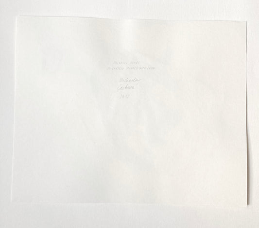 Spreading Ashes on Garden Covered with Snow - image 5