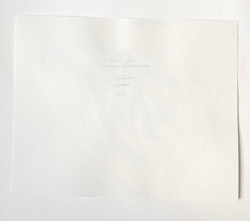 Spreading Ashes on Garden Covered with Snow - image 5