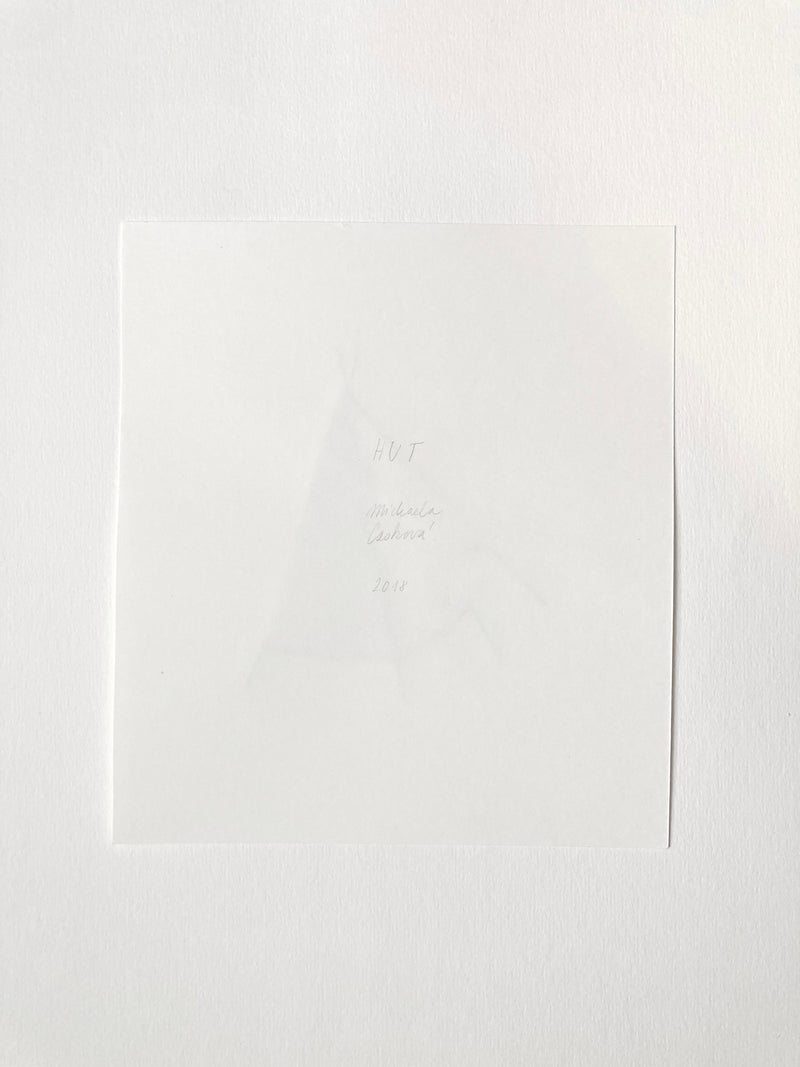 Hut - image 4