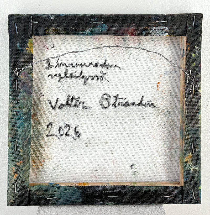 Linnunradan syleilyssä - image 3