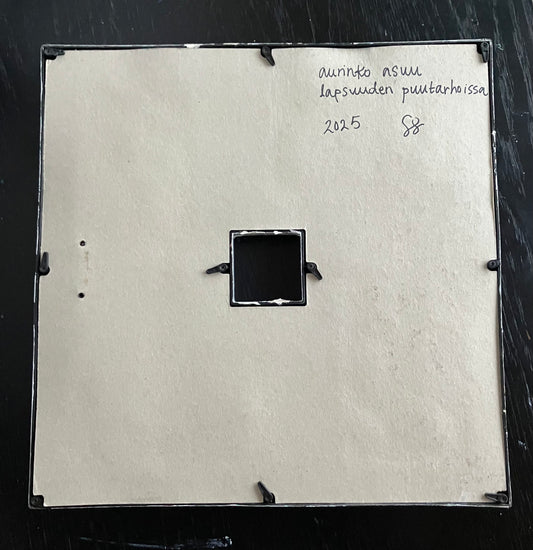 aurinko asuu lapsuuden puutarhoissa - image 3