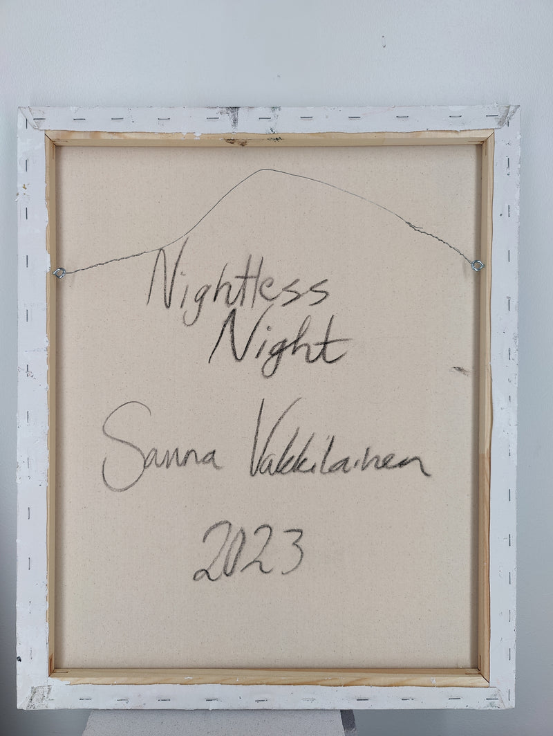 Nightless Night - image 5