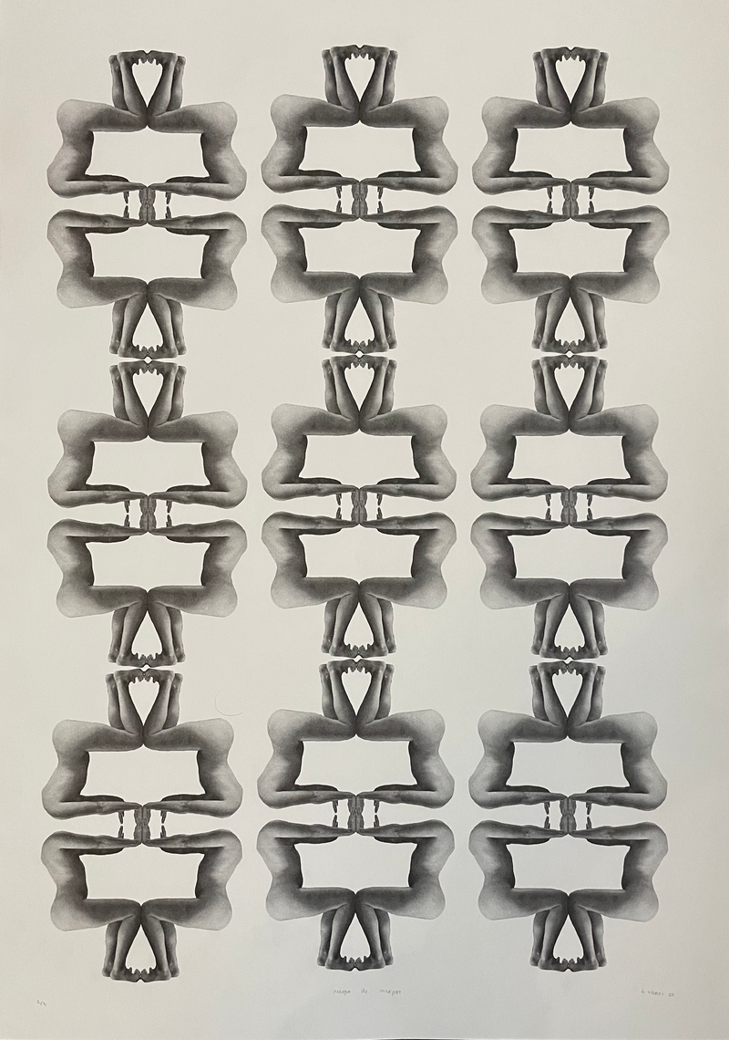 Cuerpo de cuerpos - image 1