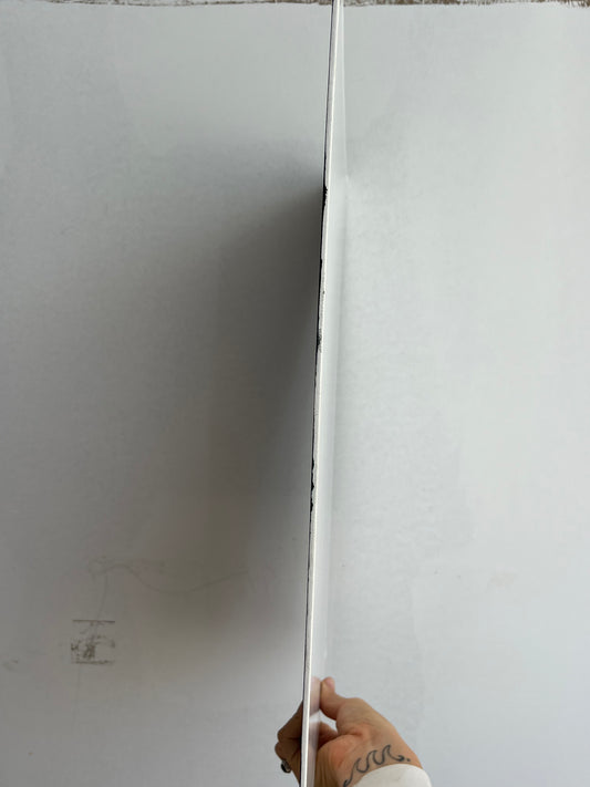 Mariposas nocturnas - image 2