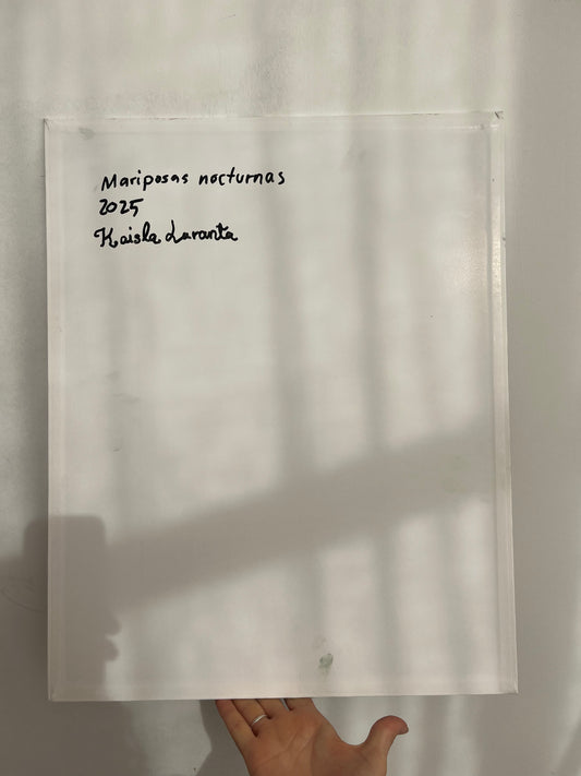 Mariposas nocturnas - image 4